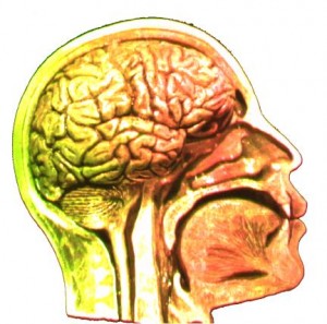 subliminal-perception-brain